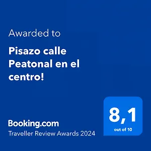 Pisazo Calle Peatonal En El Centro! Santander